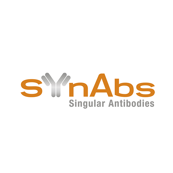 SynAbs