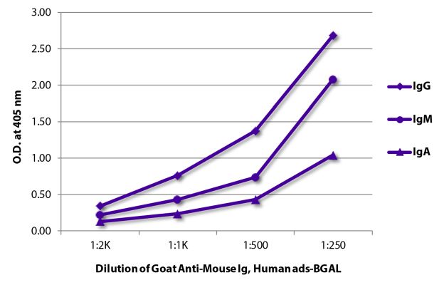 Abbildung: Ziege IgG anti-Maus IgG+IgM+IgA (H+L)-BGAL, MinX Hu