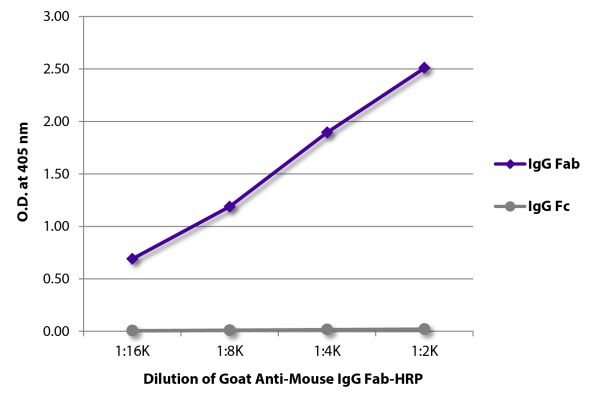 Abbildung: Ziege IgG anti-Maus IgG (F(ab')2)-HRPO, MinX keine