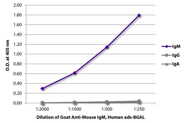 Abbildung: Ziege IgG anti-Maus IgM (µ)-BGAL, MinX Hu