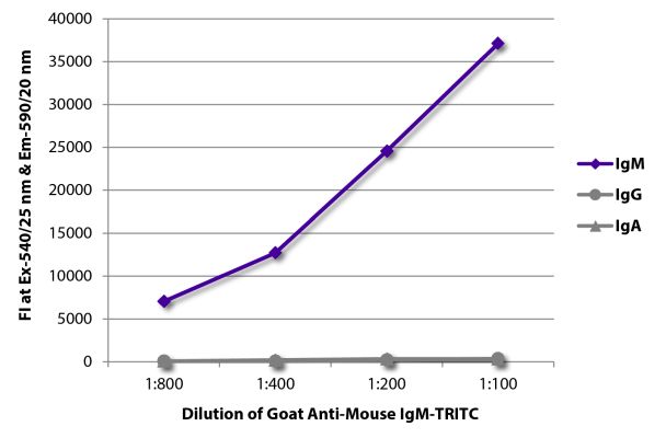 Abbildung: Ziege IgG anti-Maus IgM (µ)-TRITC, MinX keine