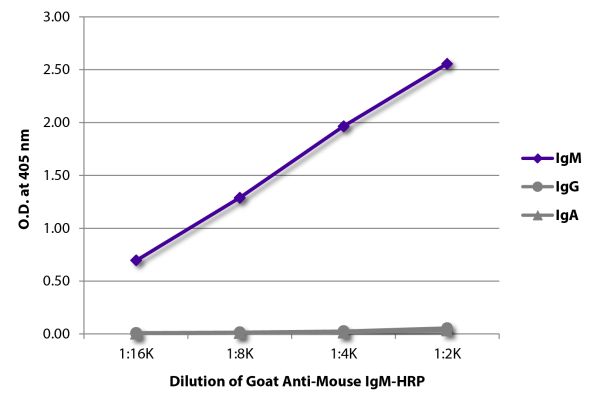 Abbildung: Ziege IgG anti-Maus IgM (µ)-HRPO, MinX keine