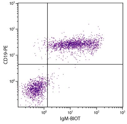 Abbildung: Ziege IgG anti-Maus IgM (µ)-Biotin, MinX keine