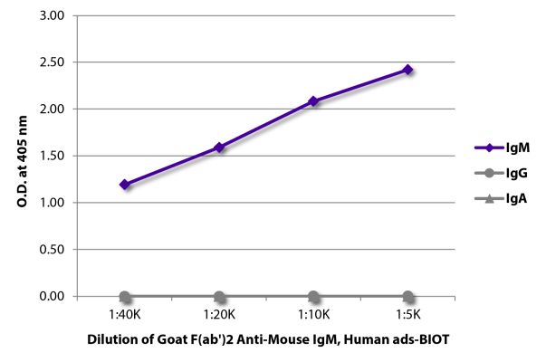 Abbildung: Ziege F(ab')2 anti-Maus IgM (µ)-Biotin, MinX Hu