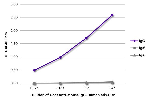 Abbildung: Ziege IgG anti-Maus IgG (Fc)-HRPO, MinX Hu