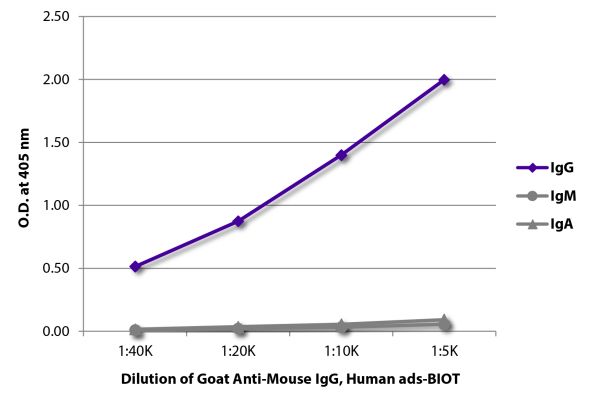 Abbildung: Ziege IgG anti-Maus IgG (Fc)-Biotin, MinX Hu