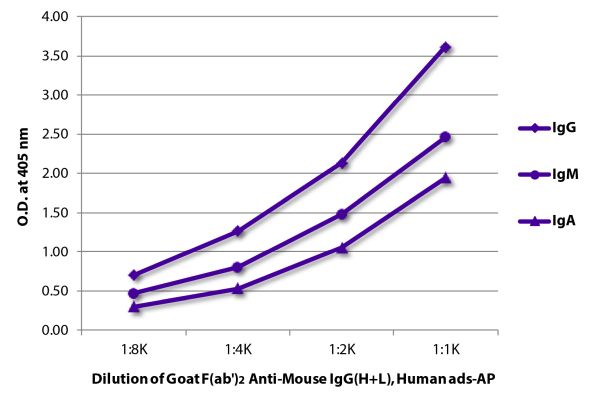 Image: Goat F(ab')2 anti-Mouse IgG (H+L)-Alk. Phos., MinX Hu