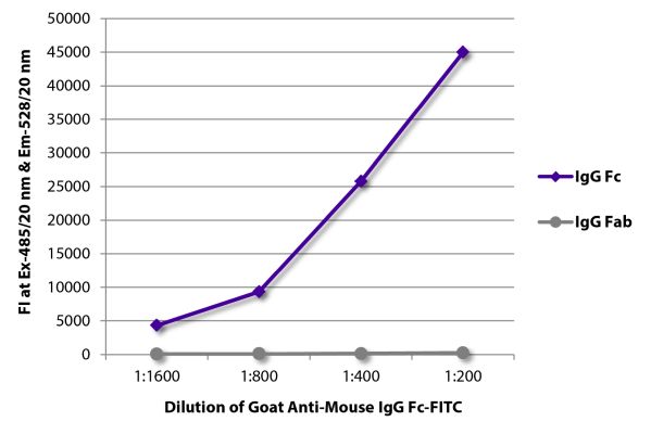Abbildung: Ziege IgG anti-Maus IgG (Fc)-FITC, MinX keine