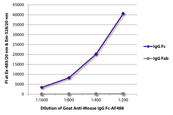 Abbildung: Ziege IgG anti-Maus IgG (Fc)-Alexa Fluor 488, MinX keine