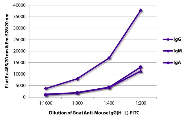 Abbildung: Ziege IgG anti-Maus IgG (H+L)-FITC, MinX keine