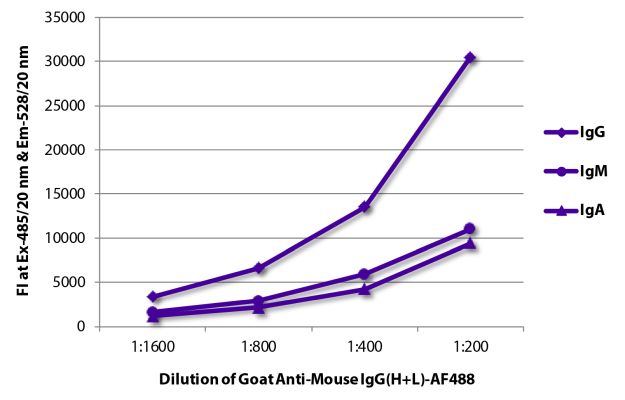 Abbildung: Ziege IgG anti-Maus IgG (H+L)-Alexa Fluor 488, MinX keine