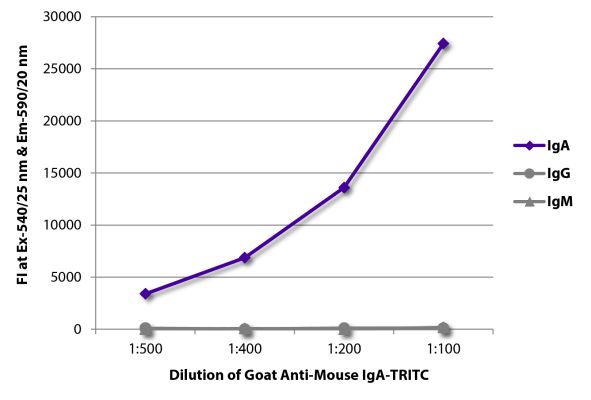 Abbildung: Ziege IgG anti-Maus IgA-TRITC, MinX keine