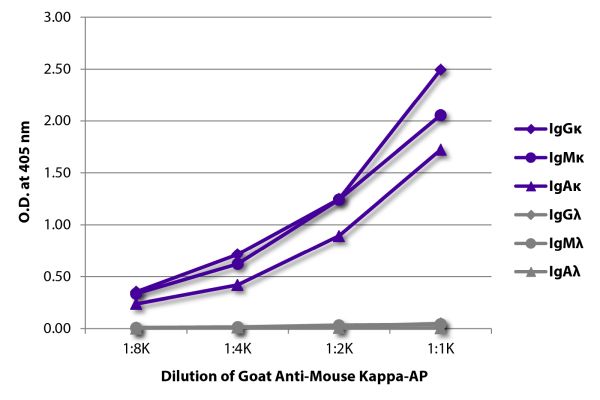 Abbildung: Ziege IgG anti-Maus Kappa (leichte Kette)-Alk. Phos., MinX keine
