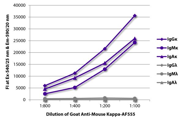 Abbildung: Ziege IgG anti-Maus Kappa (leichte Kette)-Alexa Fluor 555, MinX keine