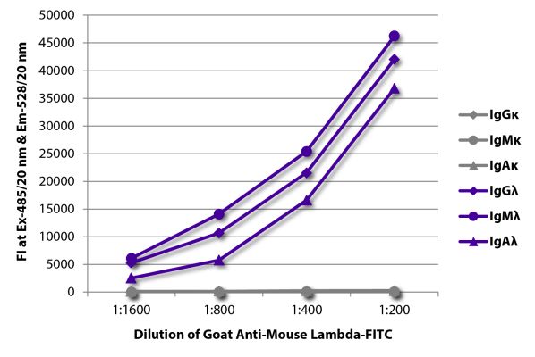 Abbildung: Ziege IgG anti-Maus Lambda (leichte Kette)-FITC, MinX keine