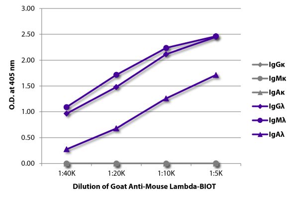 Image: Goat IgG anti-Mouse Lambda light chain-Biotin, MinX none