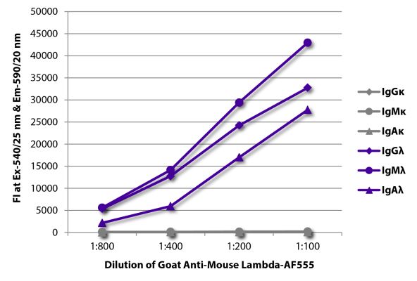 Abbildung: Ziege IgG anti-Maus Lambda (leichte Kette)-Alexa Fluor 555, MinX keine