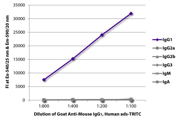 Abbildung: Ziege IgG anti-Maus IgG1 (Fc)-TRITC, MinX Hu