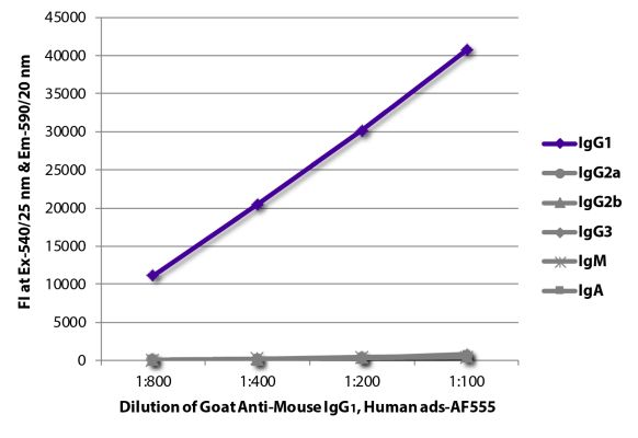 Image: Goat IgG anti-Mouse IgG1 (Fc)-Alexa Fluor 555, MinX Hu