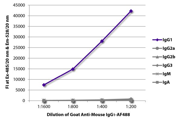 Abbildung: Ziege IgG anti-Maus IgG1 (Fc)-Alexa Fluor 488, MinX keine