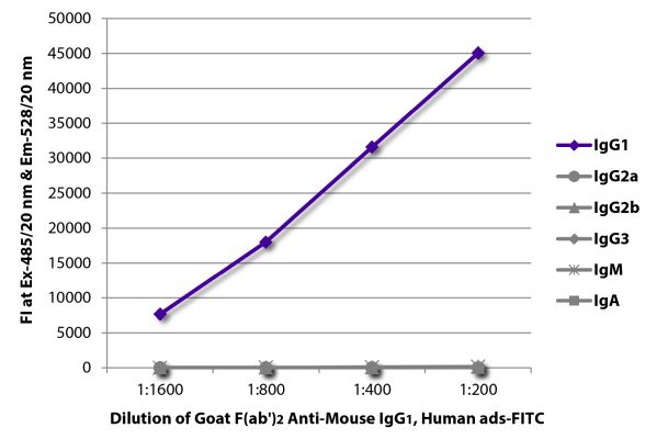 Abbildung: Ziege F(ab')2 anti-Maus IgG1 (Fc)-FITC, MinX Hu