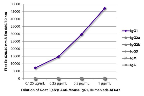 Abbildung: Ziege F(ab')2 anti-Maus IgG1 (Fc)-Alexa Fluor 647, MinX Hu