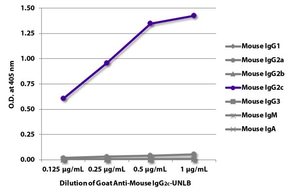 Abbildung: Ziege IgG anti-Maus IgG2c (Fc)-unkonj., MinX keine