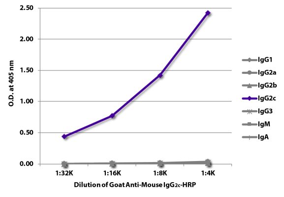 Abbildung: Ziege IgG anti-Maus IgG2c (Fc)-HRPO, MinX keine