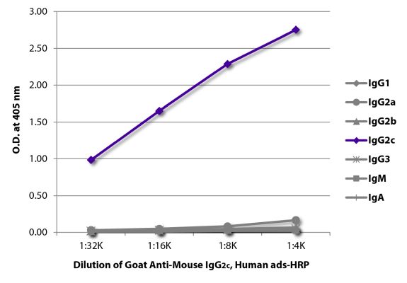 Image: Goat IgG anti-Mouse IgG2c (Fc)-HRPO, MinX Hu