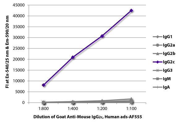 Abbildung: Ziege IgG anti-Maus IgG2c (Fc)-Alexa Fluor 555, MinX Hu