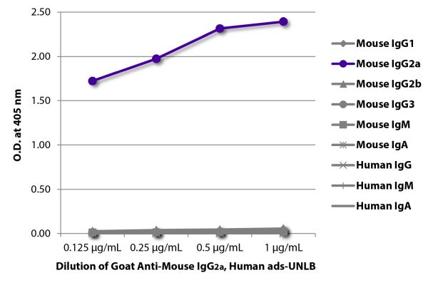 Abbildung: Ziege IgG anti-Maus IgG2a (Fc)-unkonj., MinX Hu