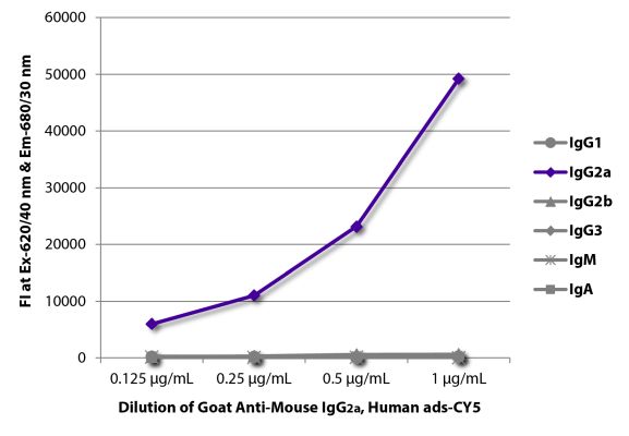 Abbildung: Ziege IgG anti-Maus IgG2a (Fc)-Cy5, MinX Hu