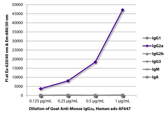 Abbildung: Ziege IgG anti-Maus IgG2a (Fc)-Alexa Fluor 647, MinX Hu