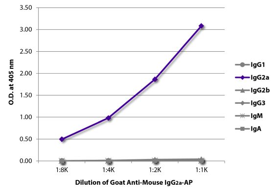 Abbildung: Ziege IgG anti-Maus IgG2a (Fc)-Alk. Phos., MinX keine