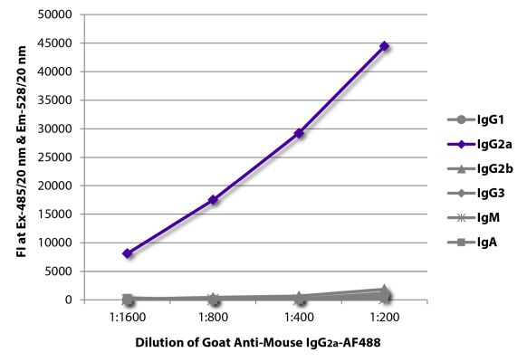 Abbildung: Ziege IgG anti-Maus IgG2a (Fc)-Alexa Fluor 488, MinX keine