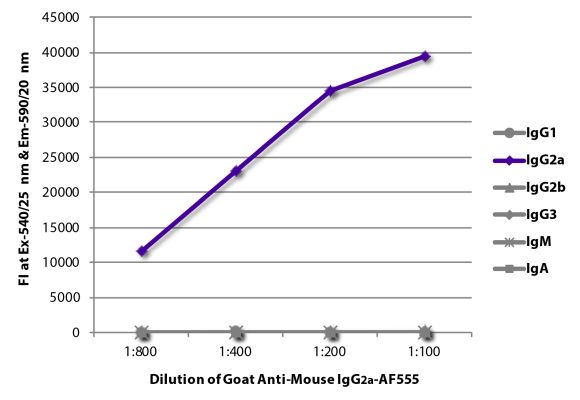 Abbildung: Ziege IgG anti-Maus IgG2a (Fc)-Alexa Fluor 555, MinX keine