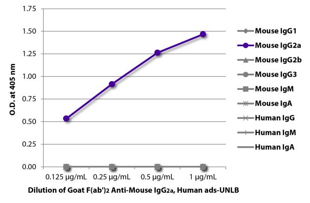 Abbildung: Ziege F(ab')2 anti-Maus IgG2a (Fc)-unkonj., MinX Hu