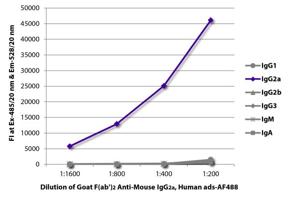 Abbildung: Ziege F(ab')2 anti-Maus IgG2a (Fc)-Alexa Fluor 488, MinX Hu