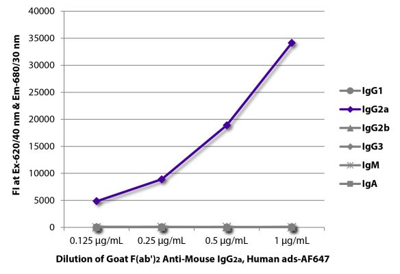 Abbildung: Ziege F(ab')2 anti-Maus IgG2a (Fc)-Alexa Fluor 647, MinX Hu