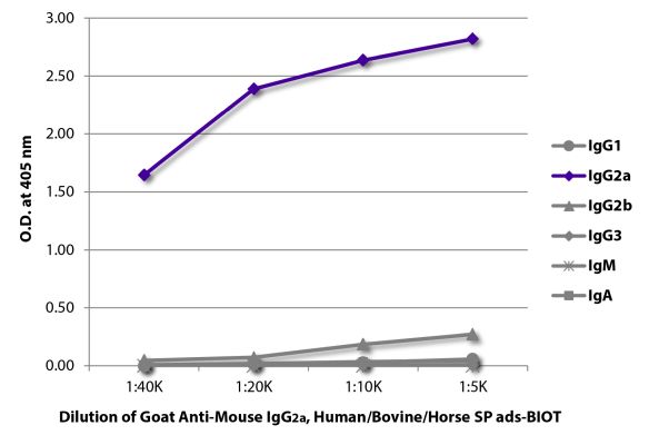 Abbildung: Ziege IgG anti-Maus IgG2a (Fc)-Biotin, MinX Hu,Bo,Ho