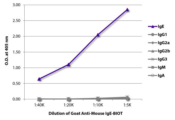 Abbildung: Ziege IgG anti-Maus IgE-Biotin, MinX keine
