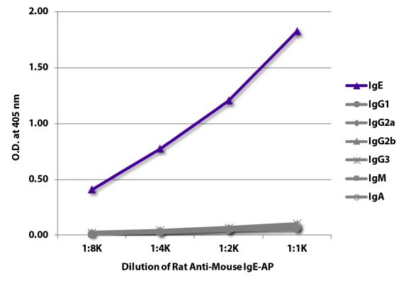 Abbildung: Ratte IgG anti-Maus IgE-Alk. Phos., MinX keine