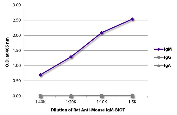 Abbildung: Ratte IgG anti-Maus IgM (µ)-Biotin, MinX keine