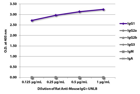 Abbildung: Ratte IgG anti-Maus IgG1 (Fc)-unkonj., MinX keine