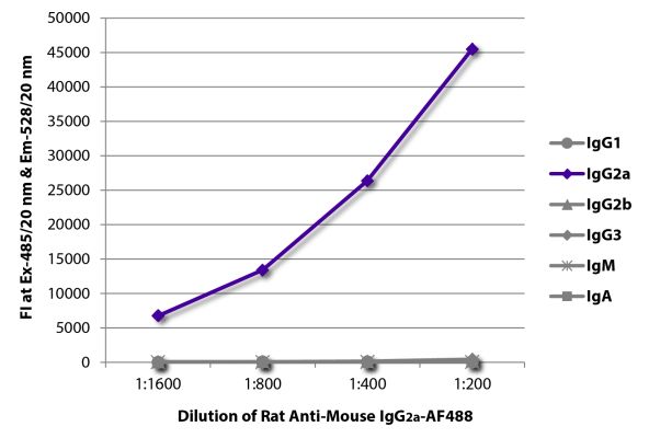Abbildung: Ratte IgG anti-Maus IgG2a (Fc)-Alexa Fluor 488, MinX keine