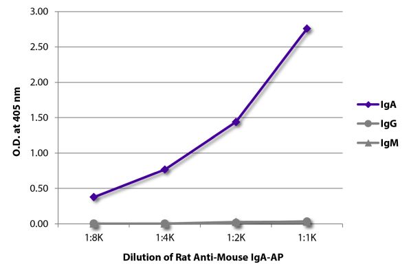 Abbildung: Ratte IgG anti-Maus IgA-Alk. Phos., MinX keine