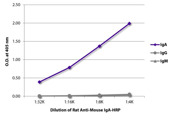 Abbildung: Ratte IgG anti-Maus IgA-HRPO, MinX keine