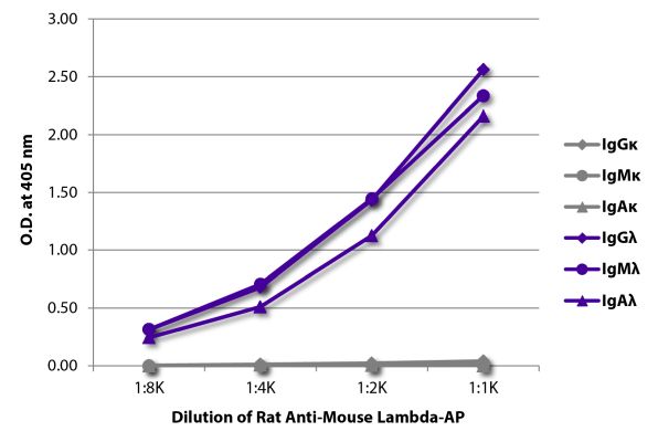 Abbildung: Ratte IgG anti-Maus Lambda (leichte Kette)-Alk. Phos., MinX keine