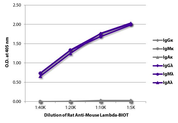 Abbildung: Ratte IgG anti-Maus Lambda (leichte Kette)-Biotin, MinX keine