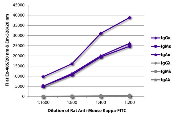 Abbildung: Ratte IgG anti-Maus Kappa (leichte Kette)-FITC, MinX keine